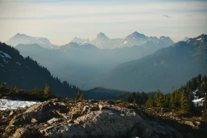 Sposób na to aby  skorzystać z kolektorów słonecznych na sto procent!
